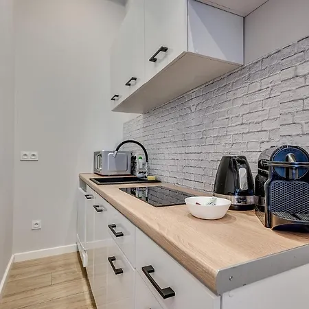 Platinum 27 Apartment Rybnik (Silesia)