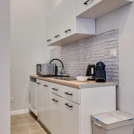 Platinum 27 Apartment Rybnik (Silesia)