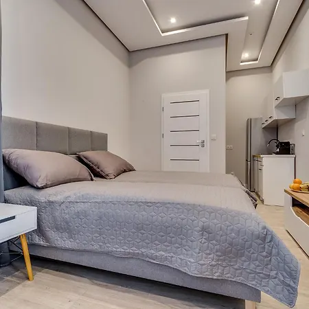 Appartement Platinum 27 Z Aneksem Kuchennym Rybnik (Silesia)