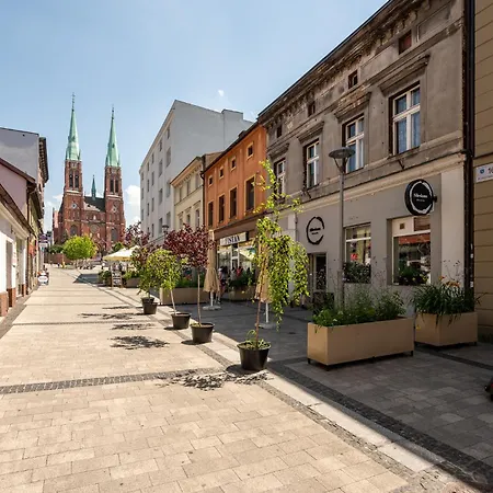 Apartment Platinum 27 Z Aneksem Kuchennym Rybnik (Silesia)