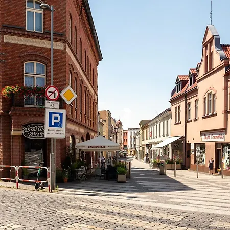 Platinum 27 Z Aneksem Kuchennym Apartment Rybnik (Silesia)