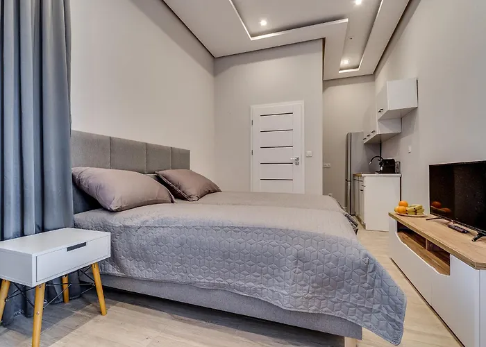 Apartment Platinum 27 Rybnik (Silesia)